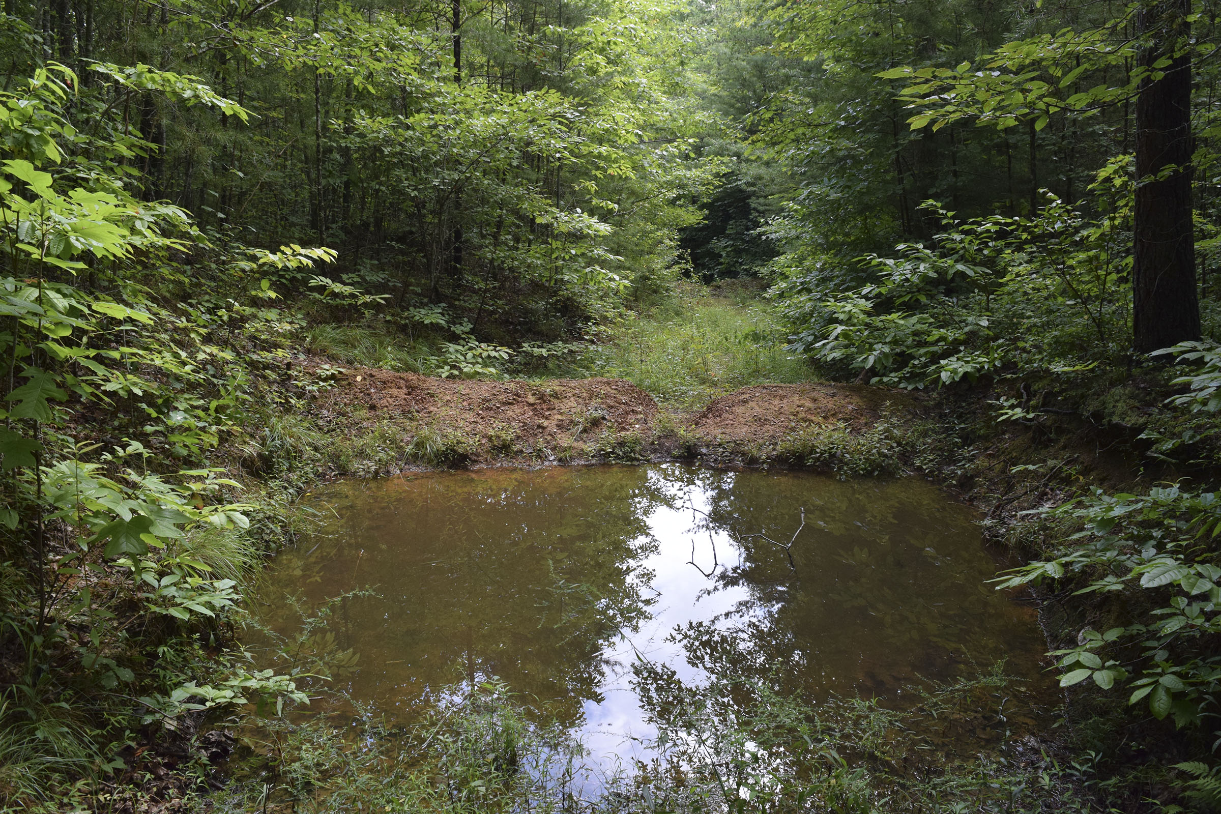 The U.S. Forest Service in 2014 mistakenly built at least 32 earthen berms, some of them with deep pits called "tank traps" behind them, intended to block access to the trail. This is a photo taken Aug. 14, 2019, of one of the berm/trap formations built on the trail. The trap is filled with water.