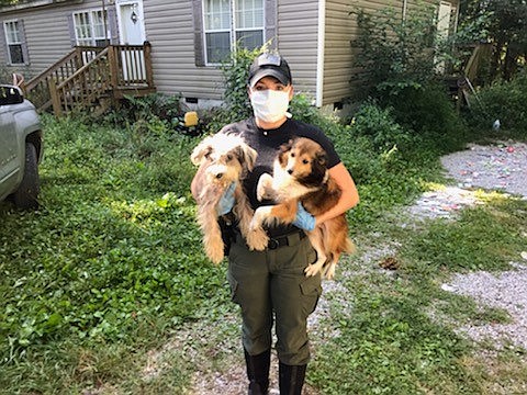 This photo posted online by the Humane Society of the United State and the Bledsoe County Sheriff Department shows a couple of the dogs rescued from a home in Pikeville. 