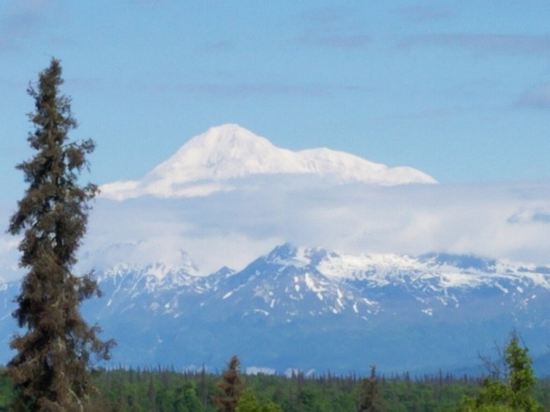 Denali, "the great one," is the highest peak in North America at over 20,000 feet above sea level. It is at the center of Denali National Park. / Photo by Patti Smith 