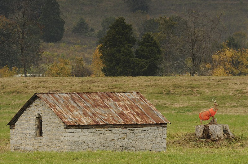 Staff Photo by Tim Barber / A deer decoy dressed in safety orange sits atop a tree stump near a wellhouse in view of U.S. Highway 11 just south of Wildwood, Ga., in October 2014. Although the heat of August remains and summer still has weeks remaining on the calendar, hunters shouldn't tarry in preparing for their fall game seasons, writes outdoors columnist Larry Case.