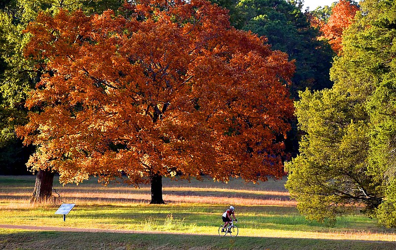 Staff File Photo by Robin Rudd A day-trip to a fall festival is an opportunity to view fall color such as this tree in Dyer Field at Chickamauga Battlefield.