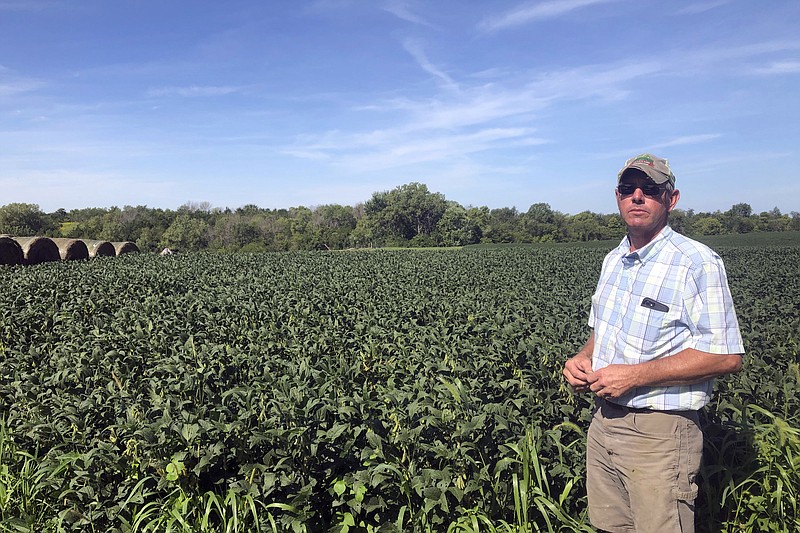 Farmer Randy Miller is shown with his soybeans, Thursday, Aug. 22, 2019, at his farm in Lacona, Iowa. Miller, who also farms corn, is among farmers unhappy with President Donald Trump over waivers granted to oil refineries that have sharply reduced demand for corn-based ethanol. Miller called it "our own country stabbing us in the back." (AP Photo/Julie Pace)