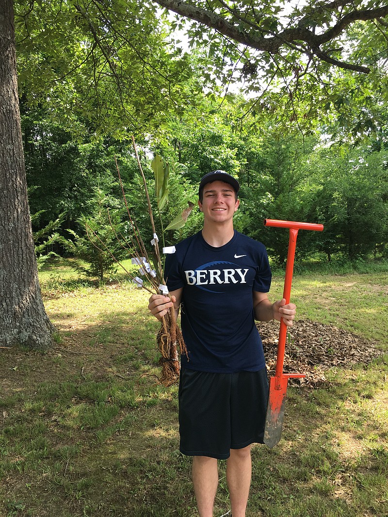 Contributed photo / Taylor Dyer plants a tree on campus last spring as part of his agriculture program at Heritage High School.