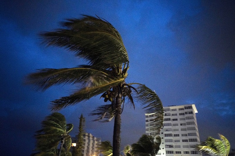 Strong winds move the palms of the palm trees at the first moment of the arrival of Hurricane Dorian in Freeport, Grand Bahama, Bahamas, Sunday Sept. 1, 2019. (AP Photo / Ramon Espinosa)
