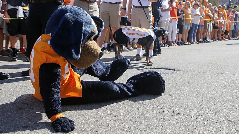 Staff photo by C.B. Schmelter / Tennessee mascot Smokey pretends to sleep to be woken up by the crowd cheering "orange" and "white" before the Vol Walk at Neyland Stadium on Saturday, Sept. 7, 2019 in Knoxville, Tenn.