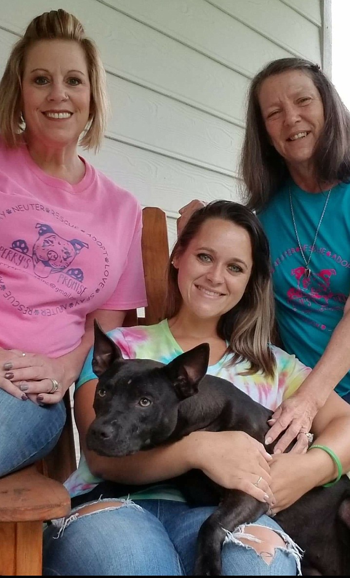 Contributed photo / Tessy Kimball, Savannah Harris and Janice Williams, from left, sit with "Perry," the namesake and instigator for Perry's Promise. The nonprofit is on a mission to reduce the stray pet population in North Georgia.