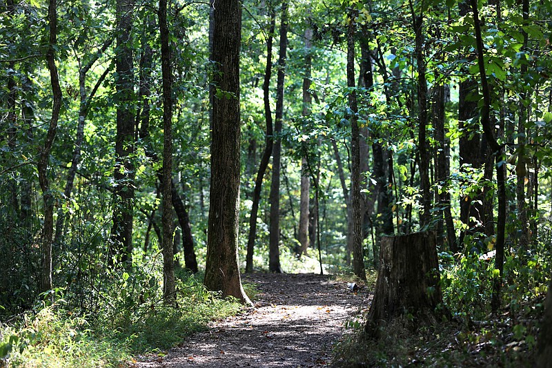 Staff photo by Erin O. Smith / A trail path winds through at Enterprise South Nature Park Wednesday, September 11, 2019 in Chattanooga, Tennessee. The recent dry, hot weather has caused leaves to fall from trees.