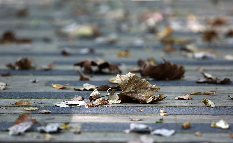 Staff photo by Erin O. Smith / Leaves lie along the trail at Enterprise South Nature Park Wednesday, September 11, 2019 in Chattanooga, Tennessee. The recent dry, hot weather has caused some leaves to fall from trees.