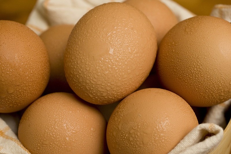 Egg Shell Secrets The Amazing Exterior You Never Knew - 860ugup