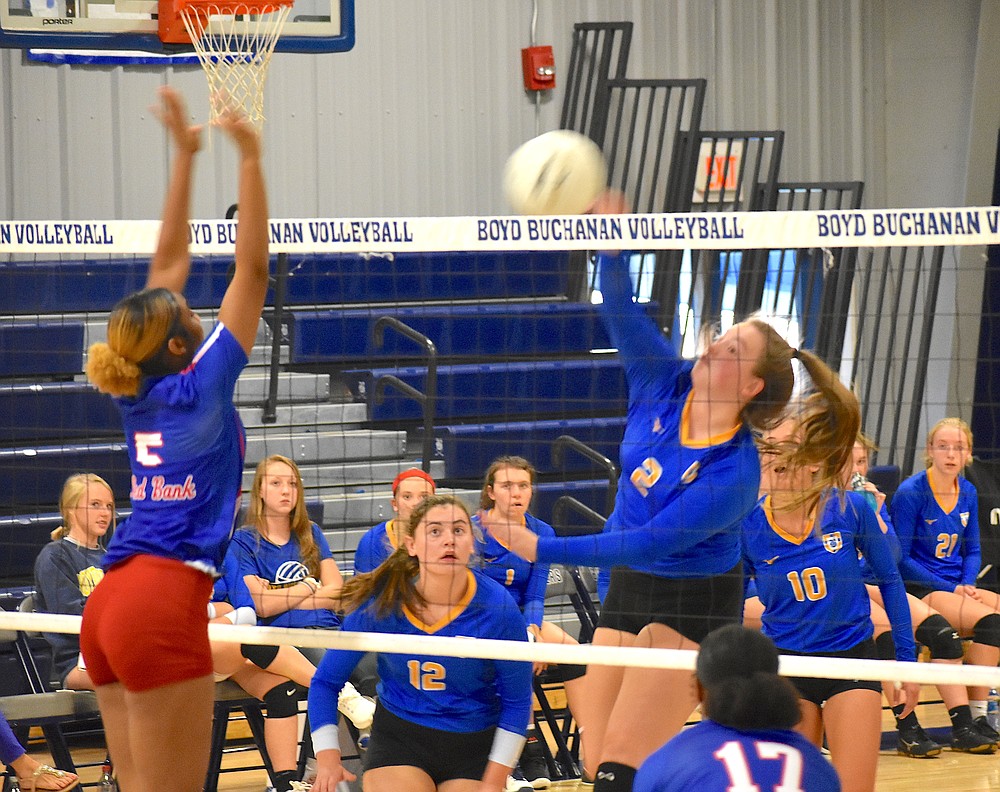 Boyd Buchanan volleyball duo Chattanooga Times Free Press