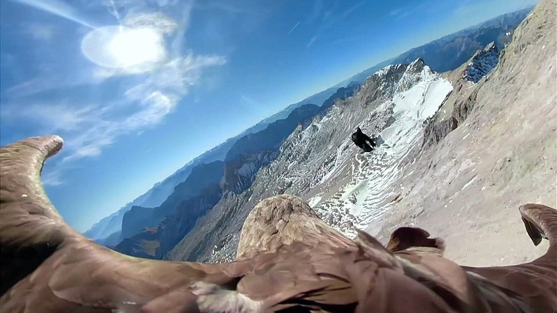 In this image made from video provided by Eagle Wings Foundation/Chopard, aerial footage shot by a camera attached to an eagle of a glacier in Western Europe. (Eagle Wings Foundation/Chopard via AP)


