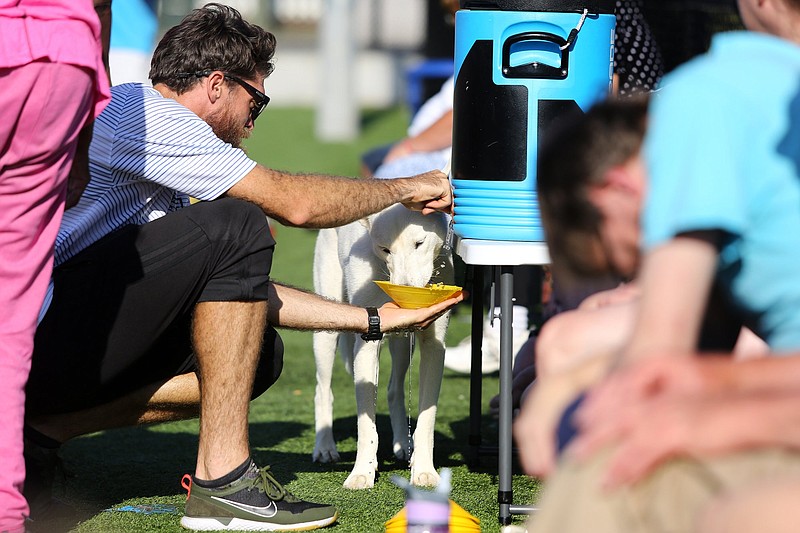 Staff photo by Erin O. Smith / Luna gets water from Jonathan Dreiling during a Kickstart soccer session at Highland Park Commons Thursday, Oct. 3, 2019 in Chattanooga, Tennessee. Luna was keeping a close eye as Kickstart participants were getting water from the cooler and was eager when Dreiling found a way to make a temporary water bowl for her. Temperatures got into the upper 90s Thursday.