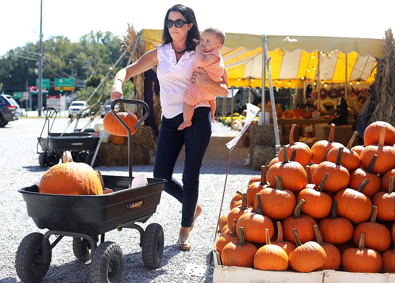 Staff photo by Erin O. Smith / Connie Majors and her 7-month-old son Henry Majors pick out pumpkins Tuesday, October 8, 2019 at Weaver Tree Farms along Signal Mountain Road in Chattanooga, Tennessee. The business is expecting to have sold around seven tractor trailer loads of pumpkins by Halloween. The farm grows 50 different varieties of pumpkins.