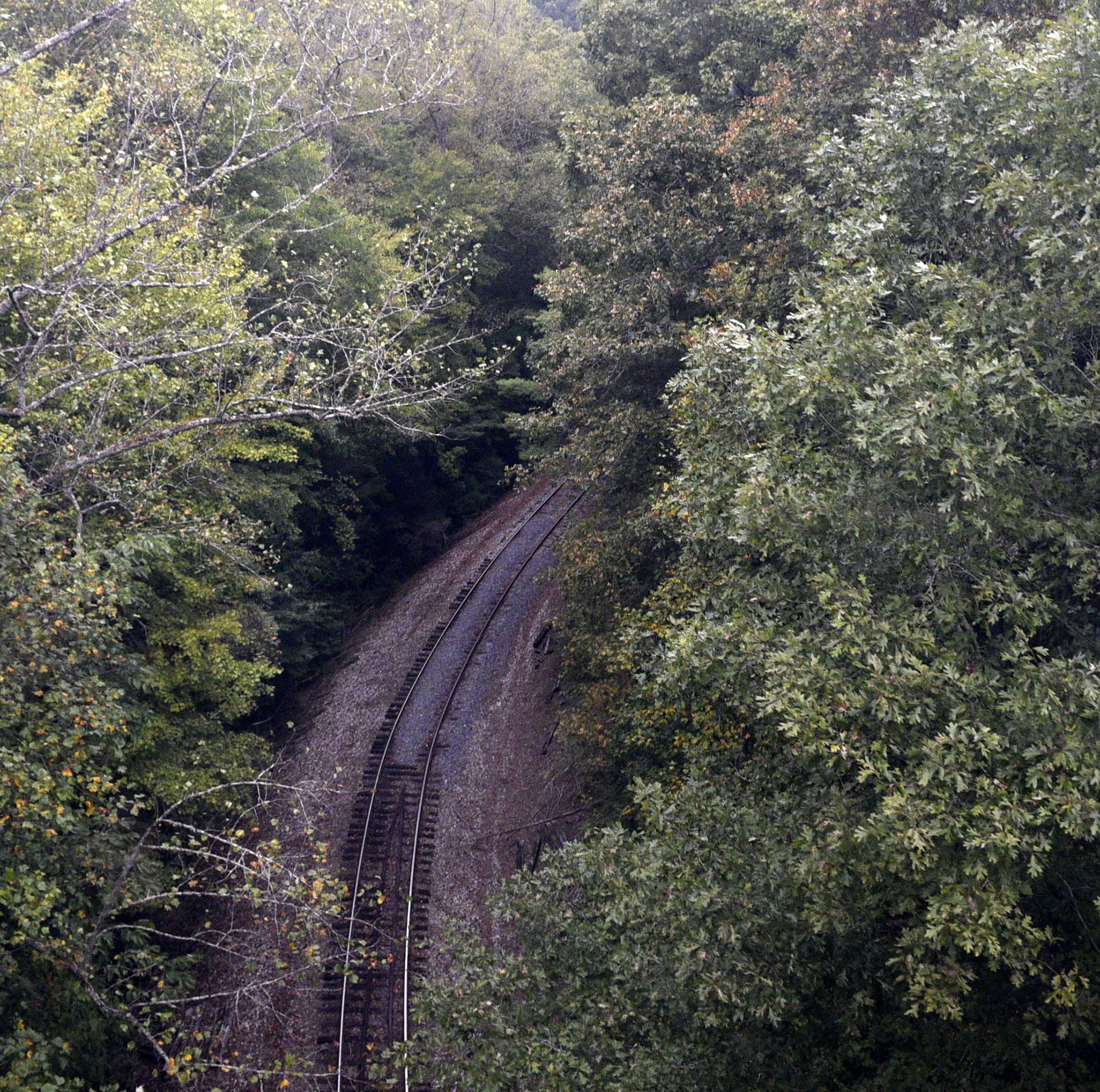 Staff Photo by Robin Rudd/ The train passes over lower part of the "Hiwassee Loop. The Loop is one of the few left in the United States were a train gains elevation by passes over its route in a huge corkscrew.