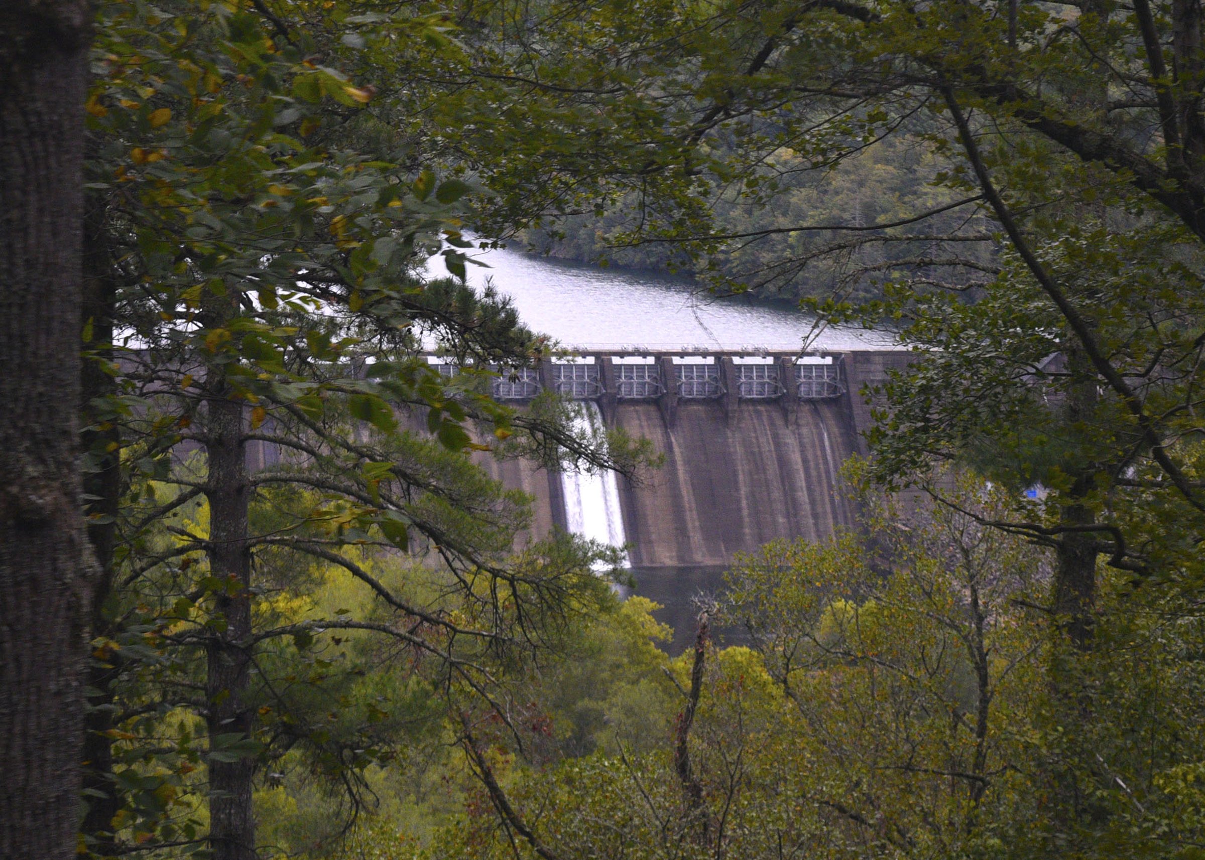 Staff Photo by Robin Rudd/ TVA's Appalachia Dam is seen from the excursion.