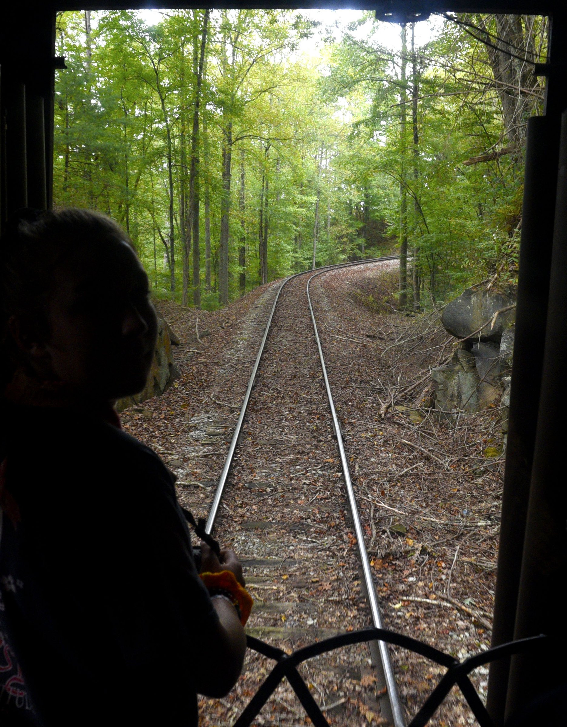 Staff Photo by Robin Rudd/ A passenger enjoys the view of the rear of the train.