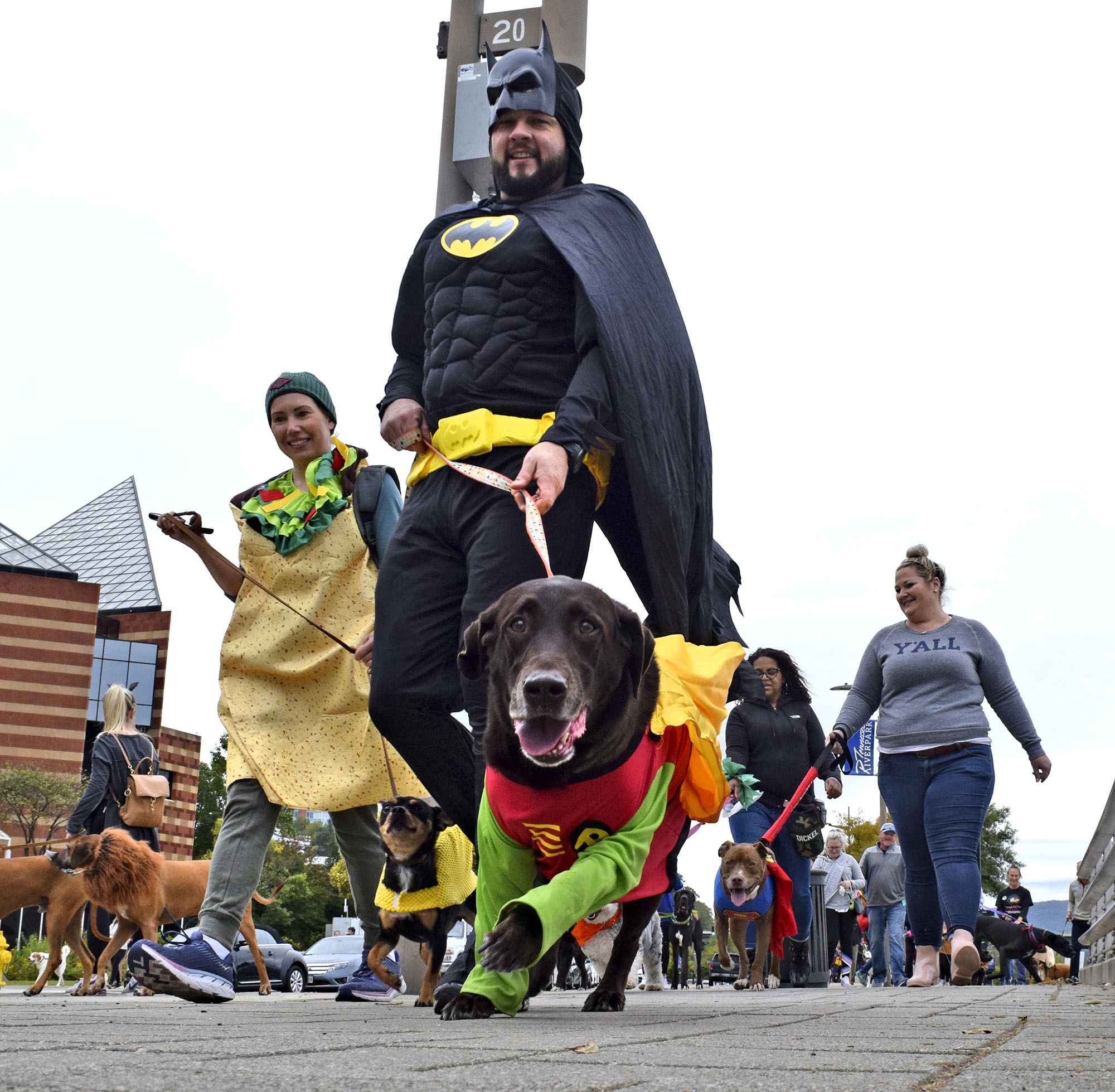 Staff Photo by Robin Rudd/ The walk starts it's way along Riverfront Parkway. Hundreds of animals lovers gathered to raise money for the Humane Educational Society at the 17th annual Paws in the Park. The event included a walk, dog and human costume contest, and a dog cake-eating contest. Ross's Landing Park was the site of the event on October 19, 2019.
