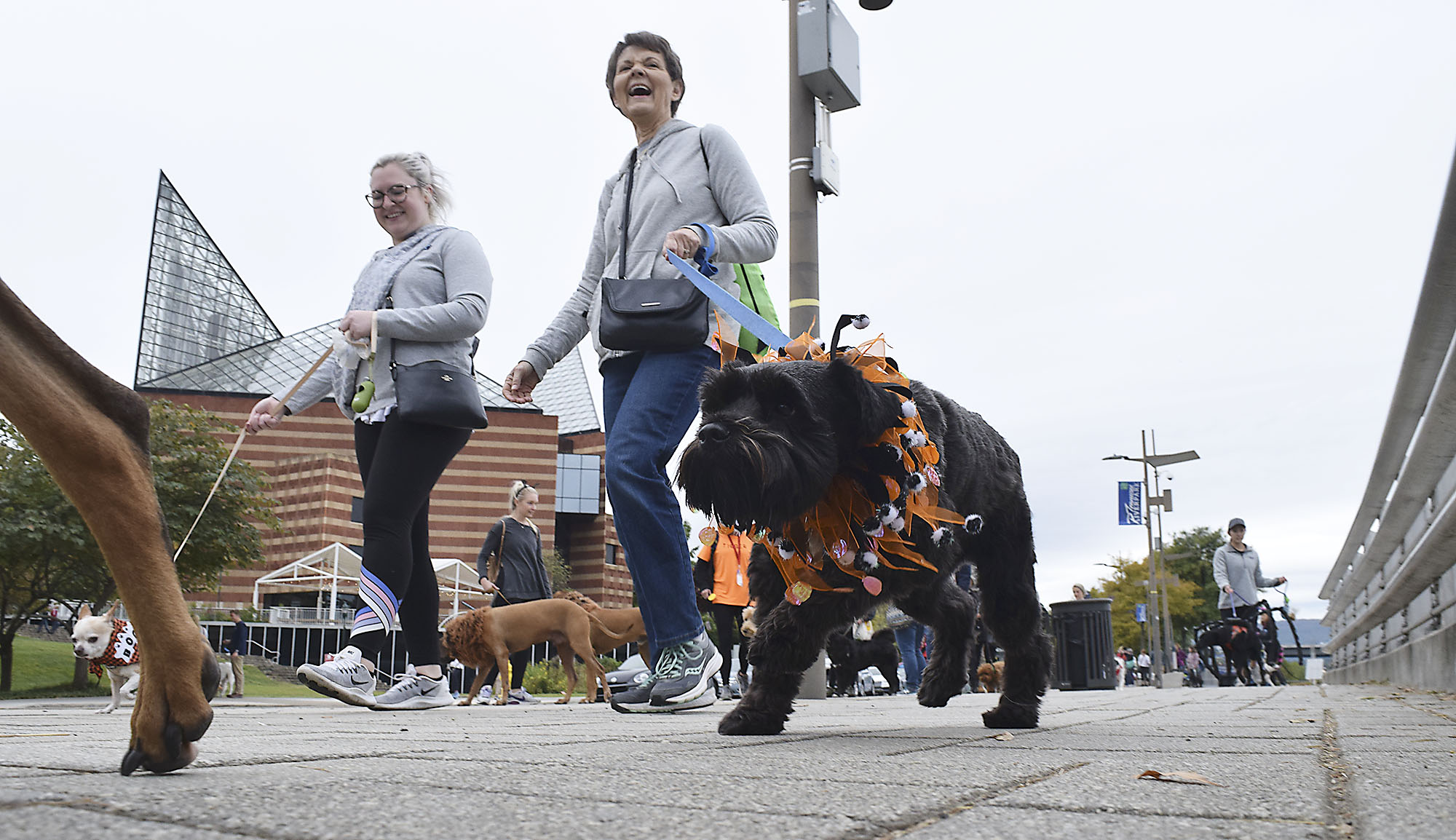 Staff Photo by Robin Rudd/ The walk starts it's way along Riverfront Parkway. Hundreds of animals lovers gathered to raise money for the Humane Educational Society at the 17th annual Paws in the Park. The event included a walk, dog and human costume contest, and a dog cake-eating contest. Ross's Landing Park was the site of the event on October 19, 2019.