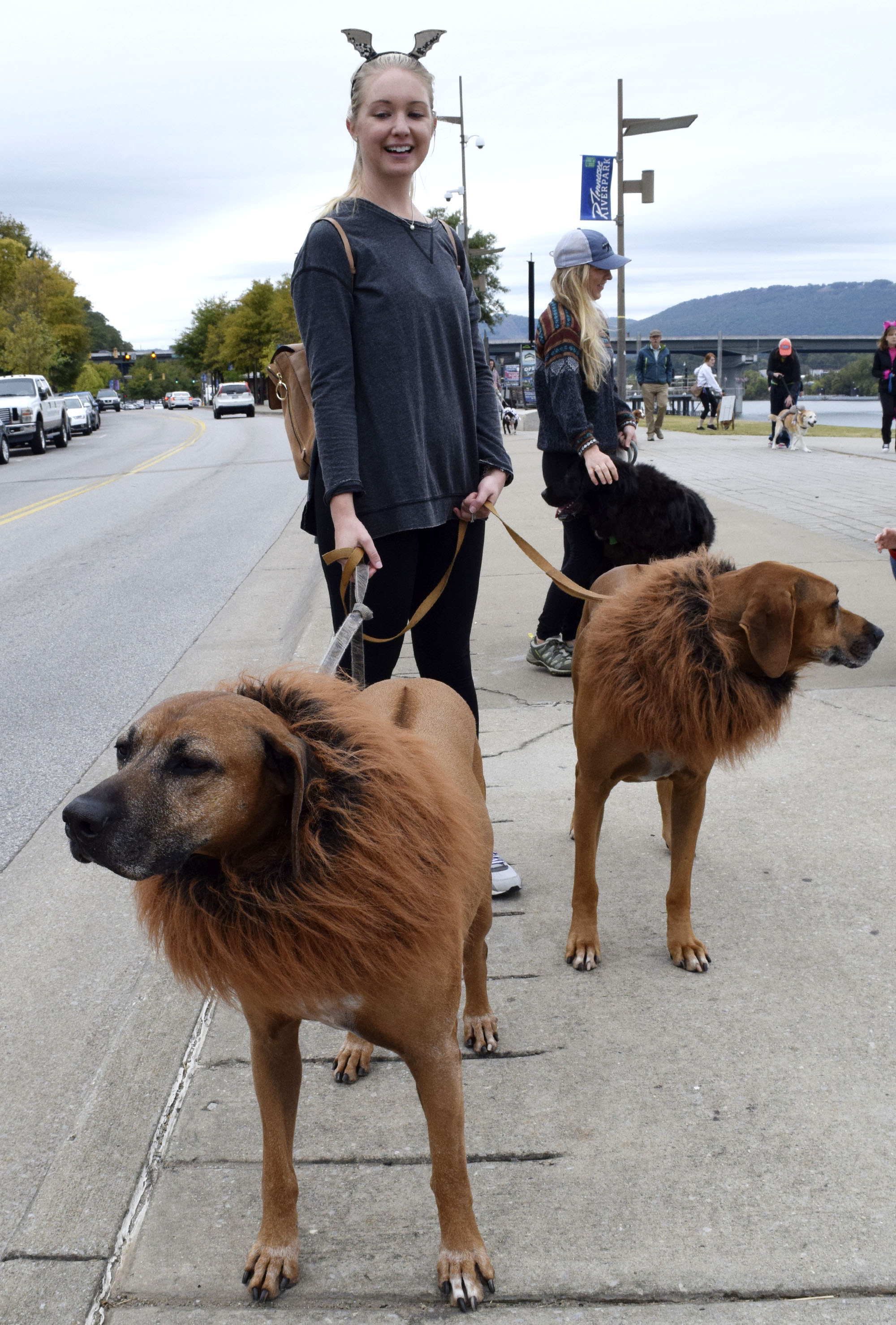 Staff Photo by Robin Rudd/ Jordan Patterson holds the leashes of her Rhodesian Ridgebacks Tonka, front, and Ari, who are sporting lion manes for the walk. Their owner is Jordan Patterson. Hundreds of animals lovers gathered to raise money for the Humane Educational Society at the 17th annual Paws in the Park. The event included a walk, dog and human costume contest, and a dog cake-eating contest. Ross's Landing Park was the site of the event on October 19, 2019.