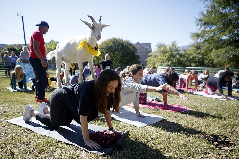 Group Fitness Classes  University of Tennessee at Chattanooga