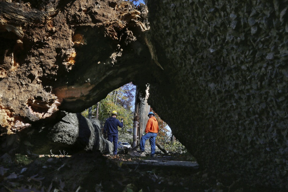Crews from Madison Electric and Butler Municipal Power and Light work on downed power lines as a large tree and sidewalk pad are lifted on Green Hill Road on Friday, Nov. 1, 2019, in Madison, N.J. The borough was hit by high winds on heavy rain late the night before. (AP Photo/Rich Schultz)
