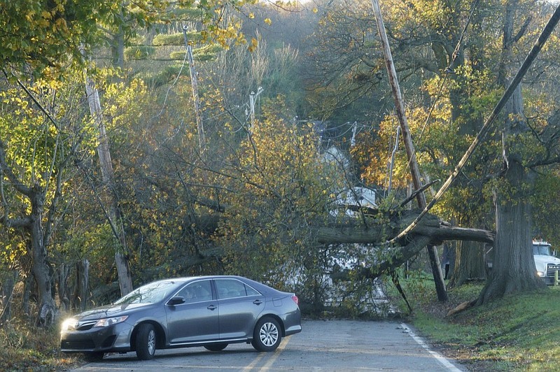 A motorist turns their vehicle around because of a fallen tree on Cheyney Rd. Near Creek Road, during a storm last night in Cheyney, PA, November 1, 2019.