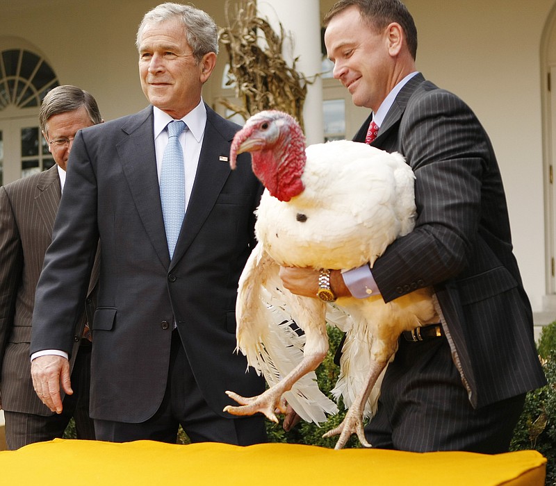 President George W. Bush, left, is accompanied by Nathan Hill of Circle Hill Farms of Ellsworth, Iowa, who holds Pumpkin the turkey during the Pardoning of the National Thanksgiving Turkey ceremony in the Rose Garden of the White House in 2008. / AP File Photo by Gerald Herbert