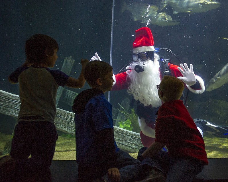 Scuba Claus / Tennessee Aquarium Contributed Photo