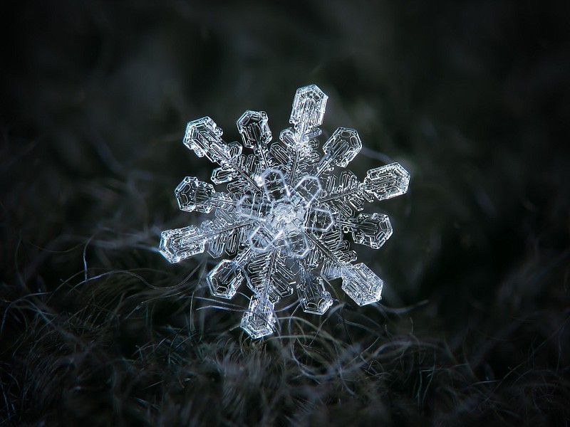 Snowflake glittering on smooth gradient background. Macro photo of real snow crystal: elegant star plate with fine hexagonal symmetry, short ornate arms, glossy relief surface, complex inner details. snow tile snowflake tile weather ice cold winter tile / Getty Images
