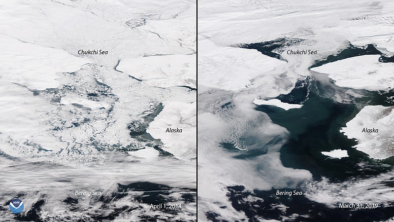 NOAA / While late March to early April is historically when the Bering Sea reaches its maximum ice extent, these two images — one from 2014 and the one on the right from 2019 — taken by NOAA's polar orbiting satellites show the stark contrast between what we've typically seen in the region versus what could soon be considered the new "normal."