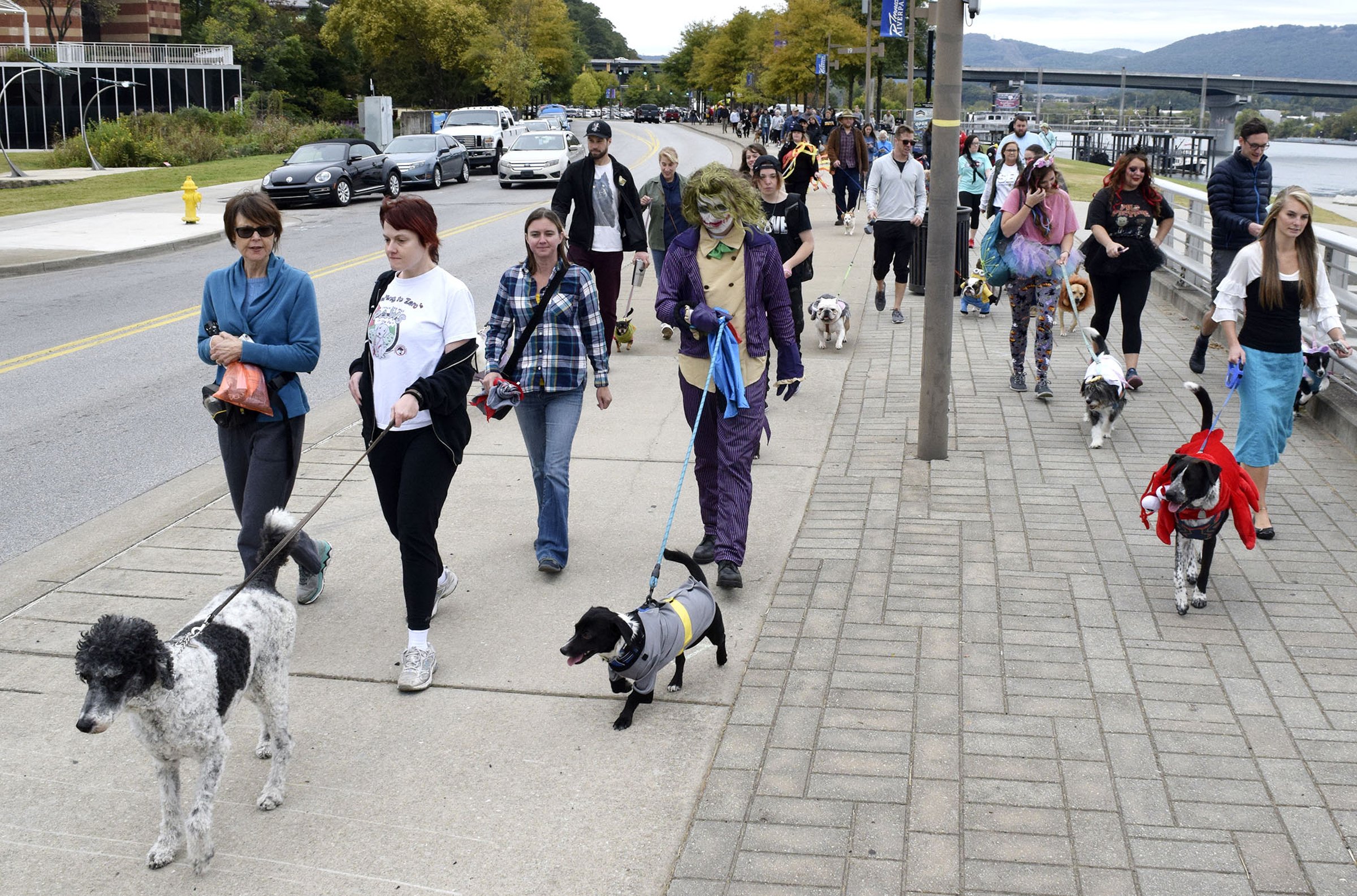 Staff Photo by Robin Rudd/ The walk starts it's way along Riverfront Parkway. Hundreds of animals lovers gathered to raise money for the Humane Educational Society at the 17th annual Paws in the Park. The event included a walk, dog and human costume contest, and a dog cake-eating contest. Ross's Landing Park was the site of the event on October 19, 2019.