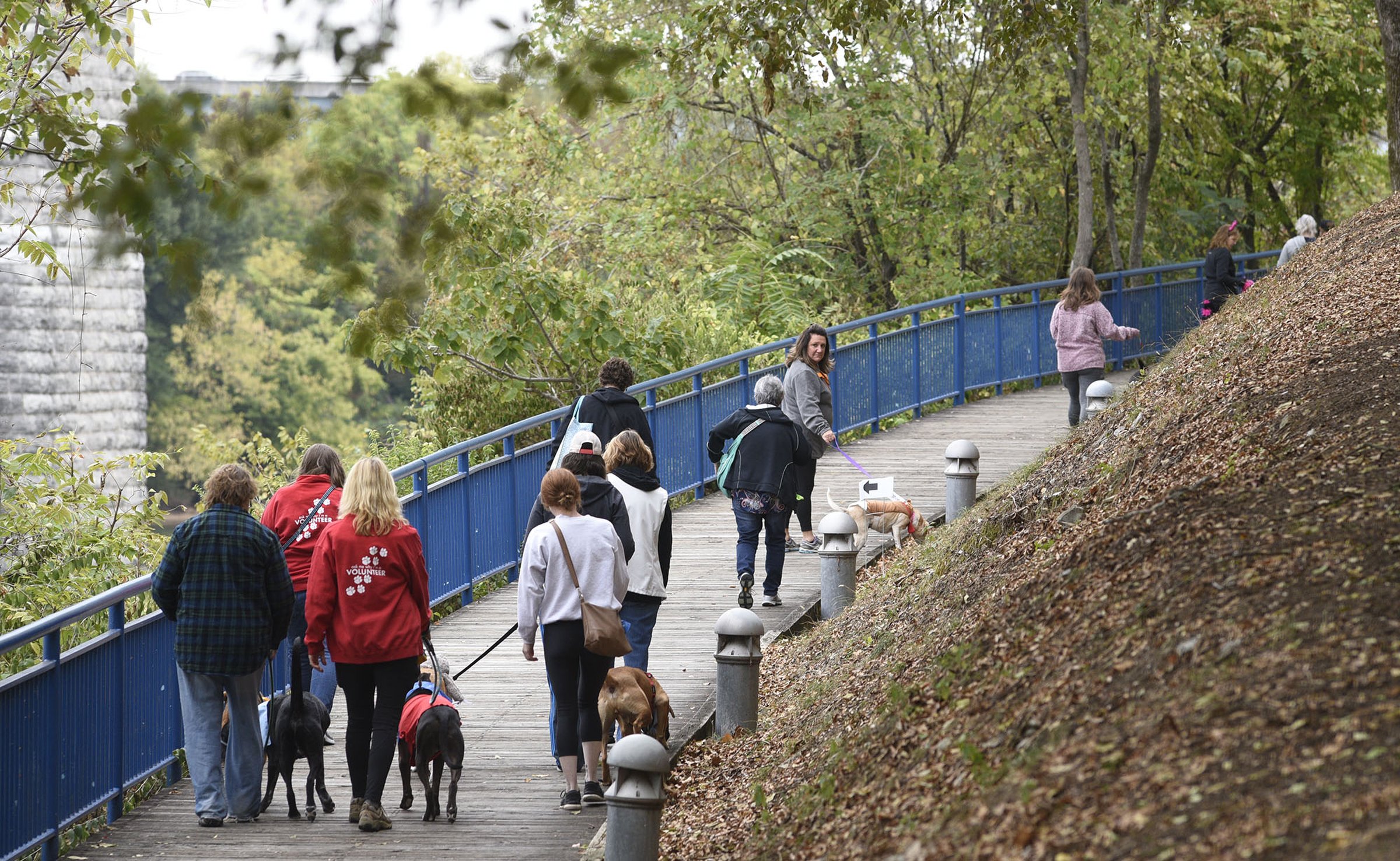 Staff Photo by Robin Rudd/ The walk winds along the Tennessee Riverwalk. Hundreds of animals lovers gathered to raise money for the Humane Educational Society at the 17th annual Paws in the Park. The event included a walk, dog and human costume contest, and a dog cake-eating contest. Ross's Landing Park was the site of the event on October 19, 2019.