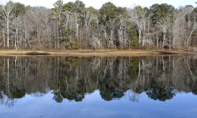 Staff Photo by Robin Rudd/   Along the hike's route the forest is reflected in the waters of a slough.  Booker T. Washington State Park kicked off the new year and decade hosting a two-mile first day hike on January 1, 2020.