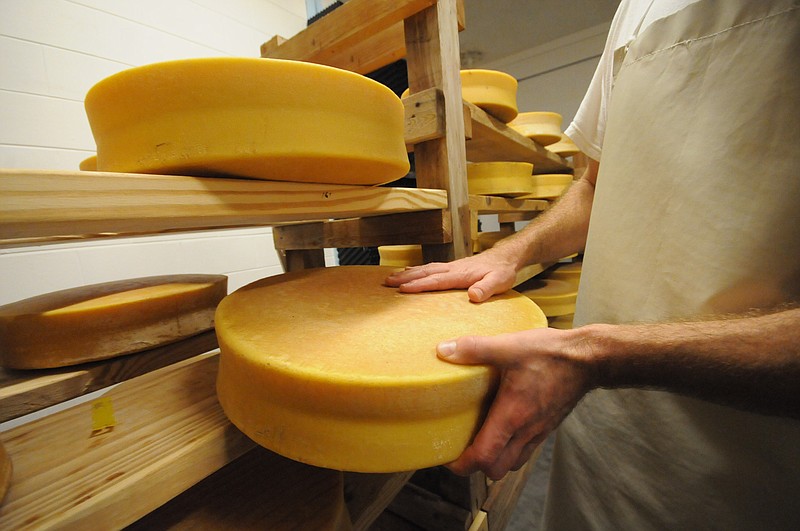 In this 2012 staff file photo, cheesemaker Nathan Arnold places a large wheel of Greutli farmstead cheese on a rack at Sequatchie Cove Creamery. / Staff file photo by Tim Barber