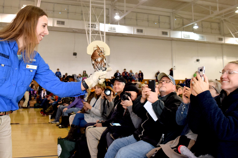 Staff Photo by Robin Rudd/ Carly Hamilton, of the American Eagle Foundation, holds a eastern screech owl as it is photographed by festival goers at the Birchwood Community Center. The 29th Annual Tennessee Sandhill Crane Festival celebrates the thousands of birds that migrate through or spend the winter on and around the Hiwassee Refuge. The festival, the final day was January 19, 2020, also provides an opportunity to focus on the rich wildlife heritage of the state and the Native American history of the area.