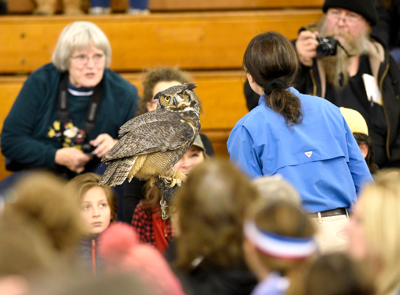 Staff Photo by Robin Rudd/ Beth Parker, of the American Eagle Foundation, carries a female great-horned owl, who has lost a eye, was a favorite of the crowd at the Birchwood Community Center. The 29th Annual Tennessee Sandhill Crane Festival celebrates the thousands of birds that migrate through or spend the winter on and around the Hiwassee Refuge. The festival, the final day was January 19, 2020, also provides an opportunity to focus on the rich wildlife heritage of the state and the Native American history of the area.