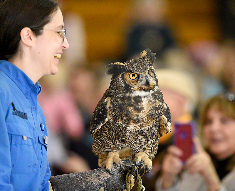 Staff Photo by Robin Rudd/ Beth Parker, of the American Eagle Foundation, carries a female great-horned owl, who has lost a eye, was a favorite of the crowd at the Birchwood Community Center. The 29th Annual Tennessee Sandhill Crane Festival celebrates the thousands of birds that migrate through or spend the winter on and around the Hiwassee Refuge. The festival, the final day was January 19, 2020, also provides an opportunity to focus on the rich wildlife heritage of the state and the Native American history of the area.