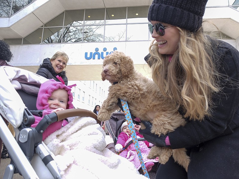 Staff photo by Tim Barber/ Tammy Herrick, top left, watches little Mary Kathleen Clegg, 14 months, react to Hootie, the Australian labradoodle, held by Sarah Clegg, her mother, Wednesday at the Color Chattanooga Pink! block party Wednesday, Jan. 22, 2020, in the middle of Walnut Street.