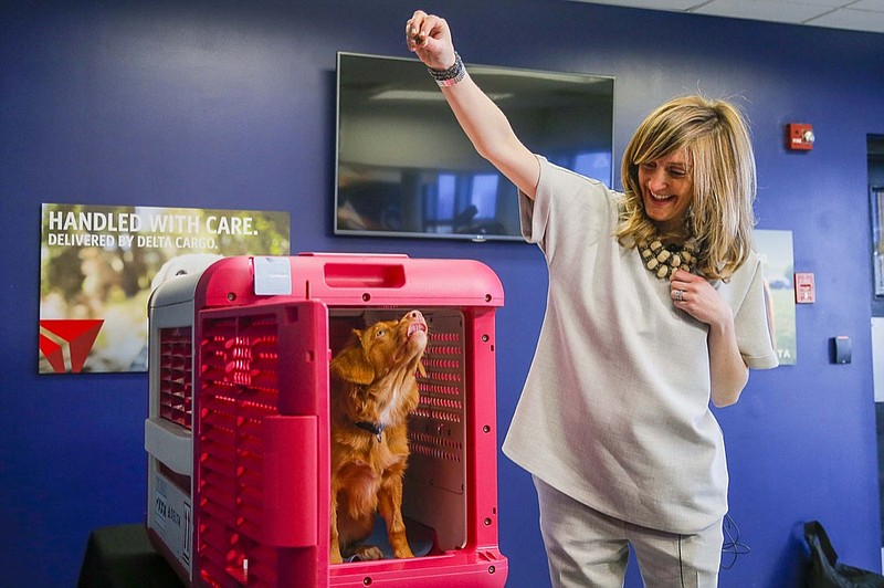 Delta Cargo Lead Product Manager Sara Bernhardt and her 5-month-old Nova Scotia Duck Tolling Retriever, Peach, introduce the CarePod, a pet travel carrier exclusive to Delta Air Lines, at the Hartsfield-Jackson Delta Cargo Facility in Atlanta, Wednesday, Jan. 22, 2020. The CarePod will initially be offered at eight U.S. locations across the Delta domestic network. (Alyssa Pointer/Atlanta Journal-Constitution via AP)


