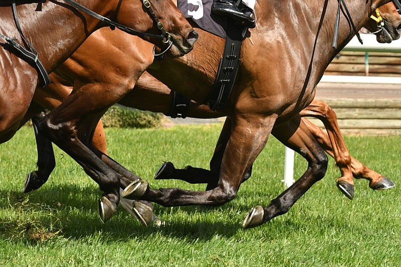 Horse racing action, hooves, legs and grass racehorse tile horse tile race tile polo tile / Getty Images
