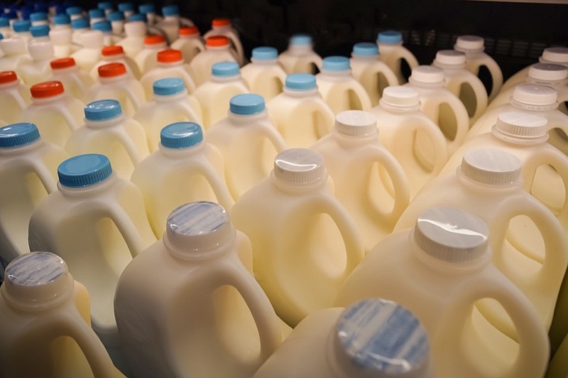 Bottles of milk in shelf milk tile milk drink / Getty Images
