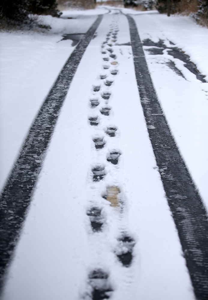 Tracks are pictured in the snow on the trails at Mitch Park following a winter storm in Edmond, Okla., Wednesday, Feb. 5, 2020. (Sarah Phipps/The Oklahoman via AP)