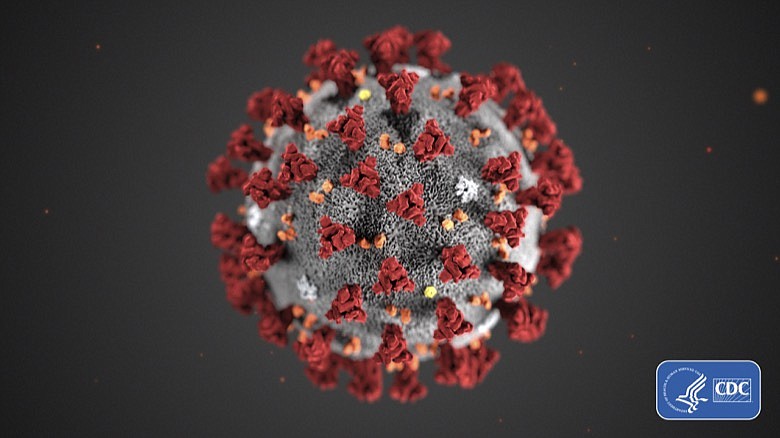 This illustration provided by the Centers for Disease Control and Prevention (CDC) in January 2020 shows the 2019 Novel Coronavirus (2019-nCoV). (CDC via AP, File)