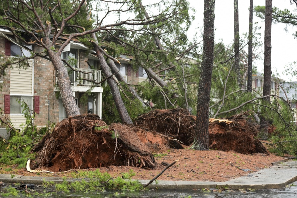 Fallen trees rest on an apartment complex damaged by high winds Thursday, Feb. 6, 2020, in Spartanburg, S.C. A powerful winter storm brought severe weather across the Deep South early Thursday. (AP Photo/Sean Rayford)