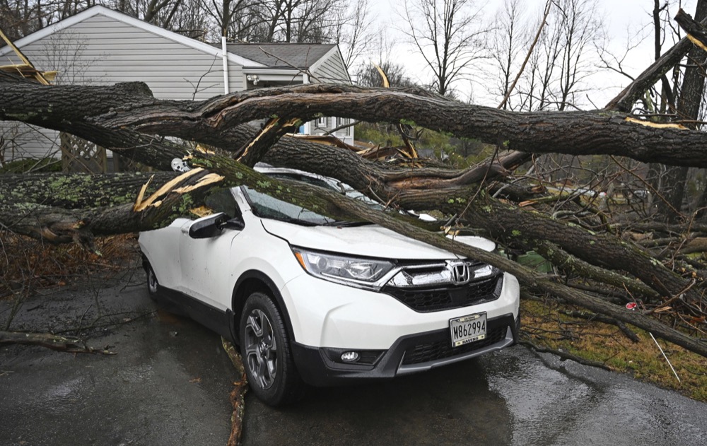 At least a dozen trees fell on this property on Overbrook Drive in New Windsor, Md., during a winter storm, Friday, Feb. 7, 2020. (Jerry Jackson/The Baltimore Sun via AP)