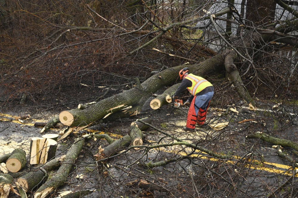 A Carroll County road crew clears a tree across Marston Road following a winter storm, Friday, Feb. 7, 2020, in New Windsor, Md. (Jerry Jackson/The Baltimore Sun via AP)