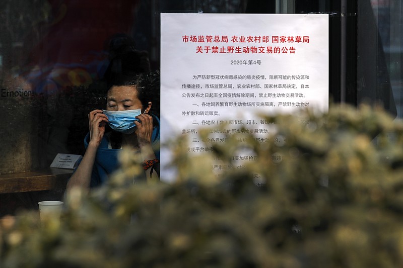 A woman puts on a mask near a notice board that reads "Bans on wild animals trading following the coronavirus outbreak" at a cafe in Beijing, Monday, Feb. 10, 2020. China reported a rise in new virus cases on Monday, possibly denting optimism that its disease control measures like isolating major cities might be working, while Japan reported dozens of new cases aboard a quarantined cruise ship. (AP Photo/Andy Wong)