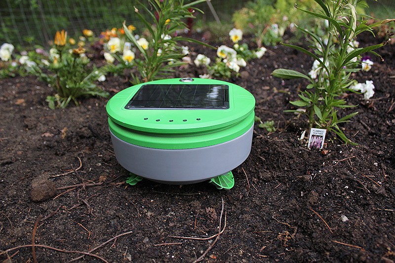 The Tertill in a garden / Franklin Robotics Media Kit Photo