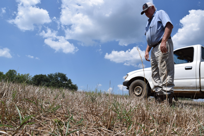 Staff photo by Ben Benton/ Walker County, Ga., farmer Donald Martin stands amid the stubble of what remains of his pasture where a new crop of hay should be green and several inches tall by now.