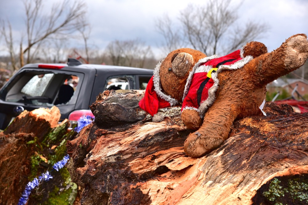 This Santa bear came to rest in the splinter of a tree in the Locust Grove area just off Highway 70 west of Cookeville, Tenn.,Tuesday, March 3, 2020. (Jack McNeely/The Herald-Citizen via AP)